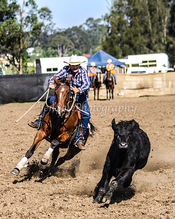 Open 170
