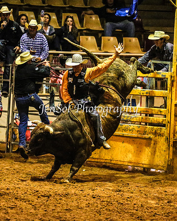 RealDealRodeoFeb2014_2148