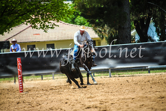OrangeCampdraft2017_5115