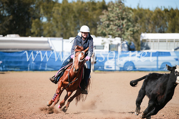 CCCampdraft2016_5582