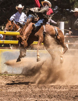 Taralga1_0268