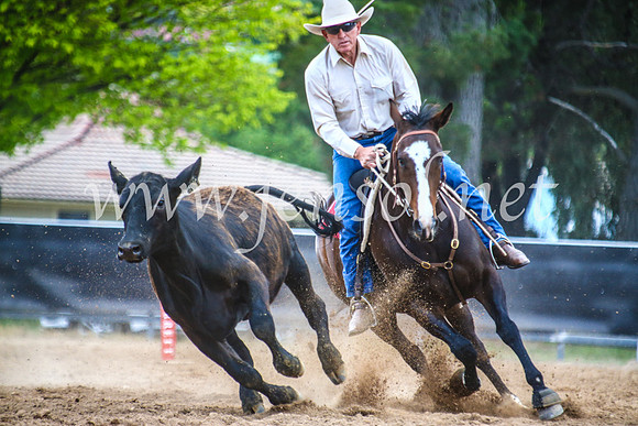 OrangeCampdraft2017_5409