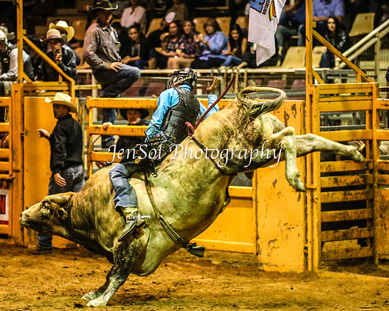 RealDealRodeoFeb2014_1622
