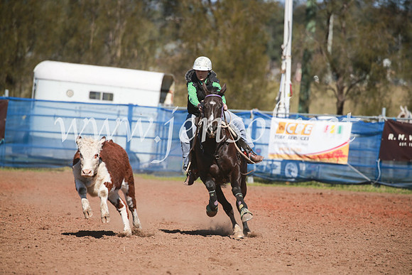 CCCampdraft2016_5733