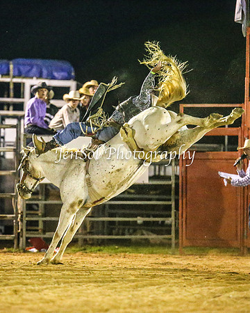 ForbesRodeo2014_3327