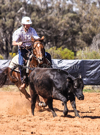 Wwyalong0324