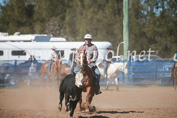CCCampdraft2016_5663