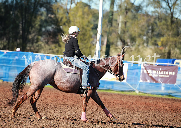 CCCampdraft2016_1403