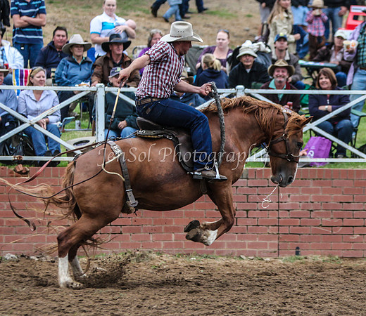 Cooma2_0042