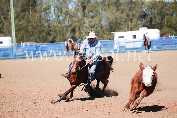 CCCampdraft2016_6009
