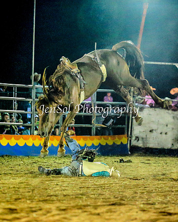 ForbesRodeo2014_3502