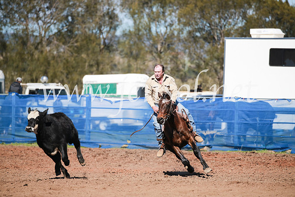 CCCampdraft2016_5339
