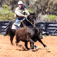 West Wyalong Campdraft 2009