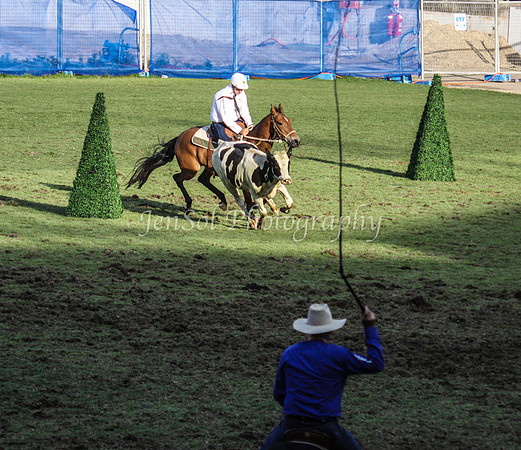 EquitanaSat_1174