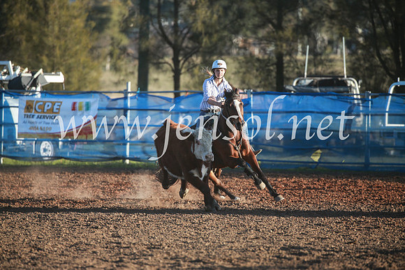 CCCampdraft2016_6821