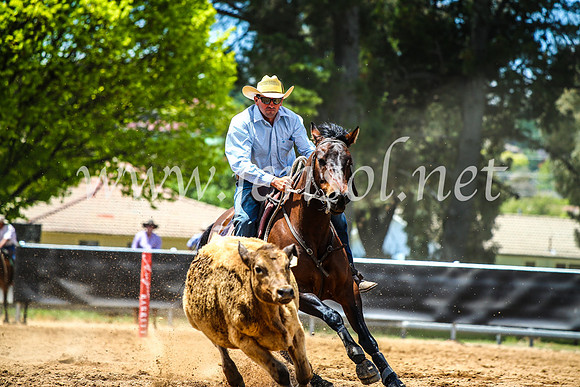 OrangeCampdraft2017_5036
