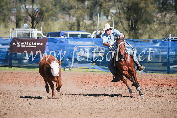 CCCampdraft2016_6022