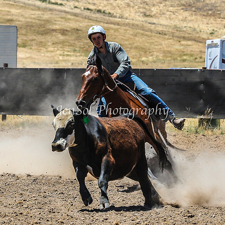 AdaminabyCampdraft2015_0361