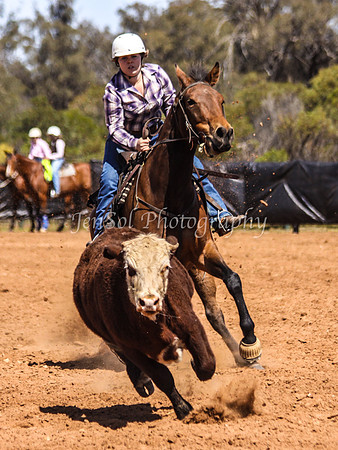 Wwyalong0541