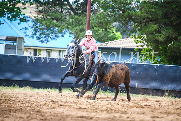 OrangeCampdraft2017_5740