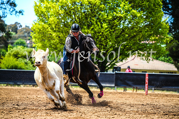 OrangeCampdraft2017_4645