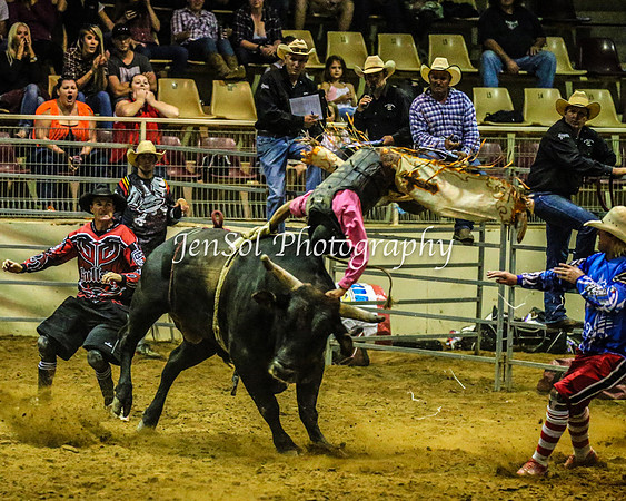 RealDealRodeoFeb2014_1149