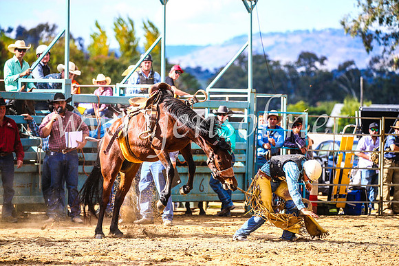 TumutRodeo2017_1630