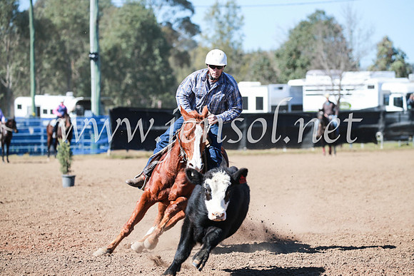 CCCampdraft2016_5653