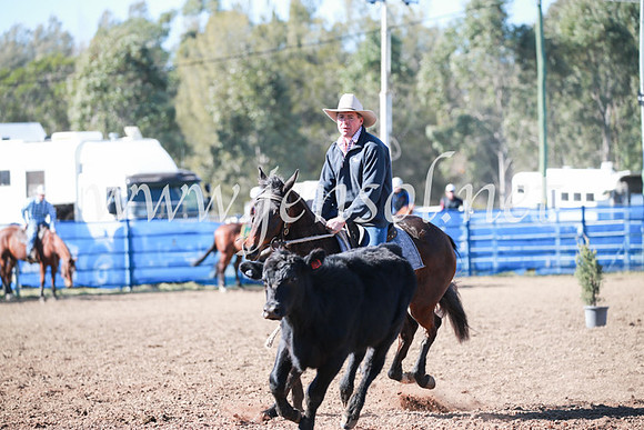 CCCampdraft2016_5316