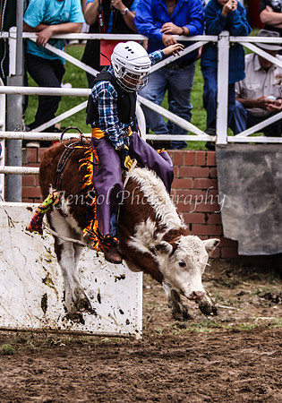 Cooma1_0385
