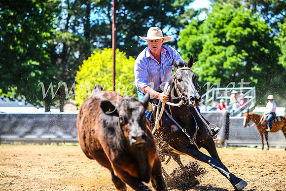 OrangeCampdraft2017_4480