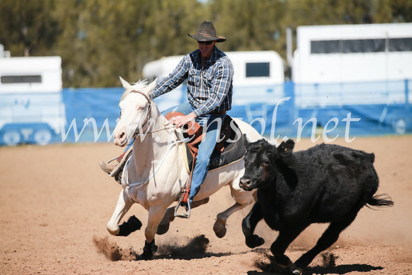 CCCampdraft2016_5905