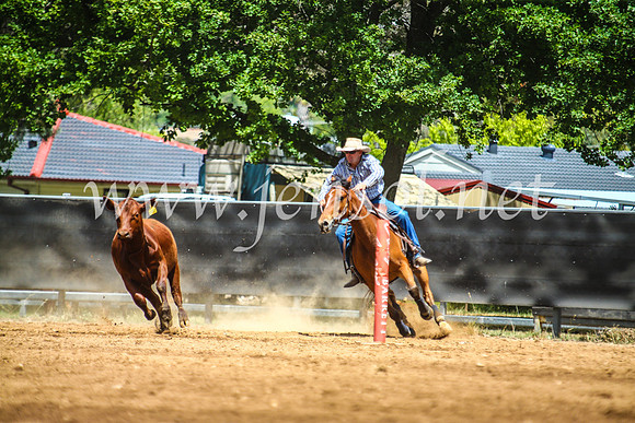 OrangeCampdraft2017_5600