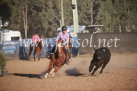 CCCampdraft2016_6808