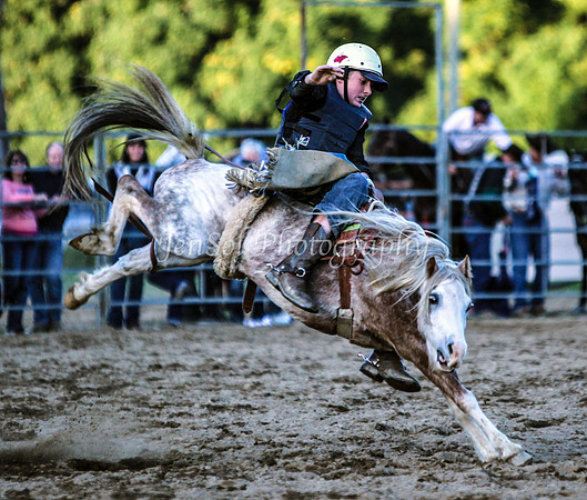 Tumut3_0085