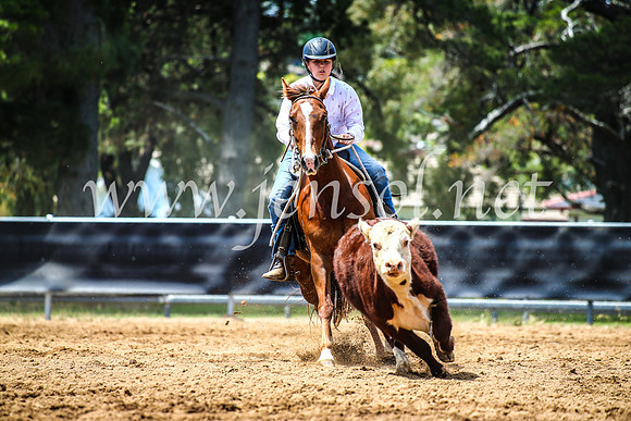 OrangeCampdraft2017_4775