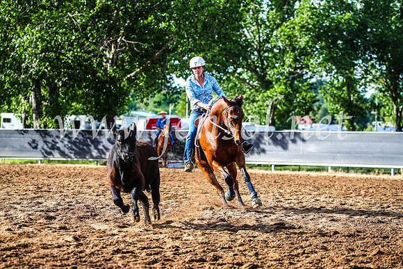 OrangeCampdraft2017_3792