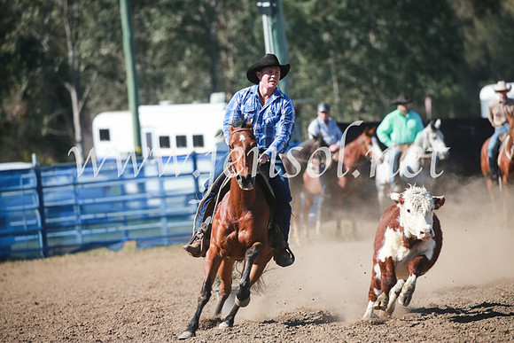 CCCampdraft2016_5472