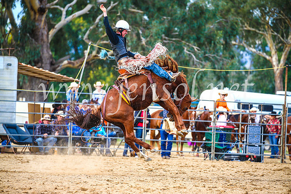 TumutRodeo2017_2268