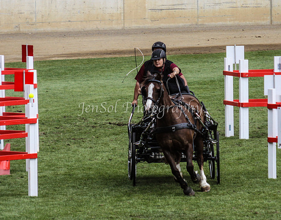 EquitanaSat_0026