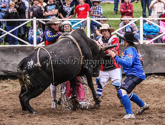Cooma1_0655
