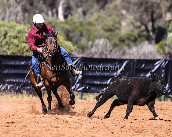 Wwyalong0289