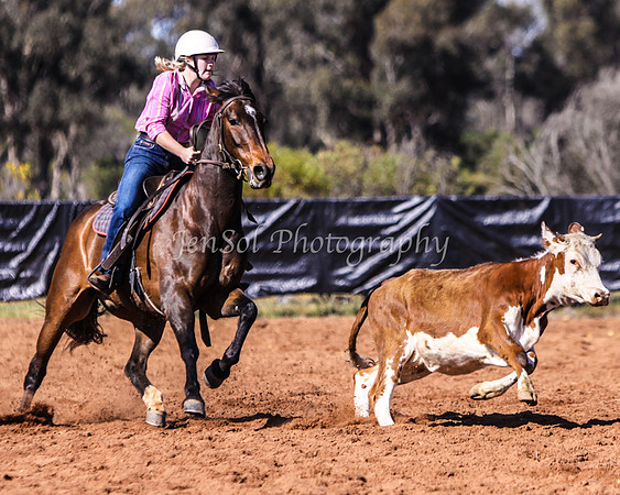 Wwyalong0255