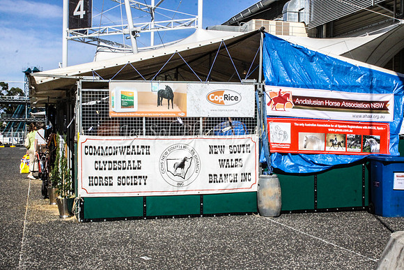 EquitanaThursSports_0143
