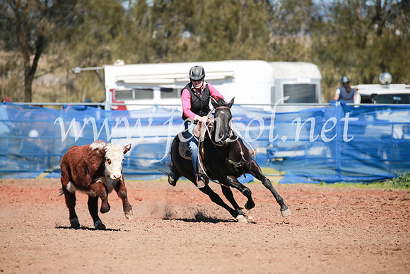 CCCampdraft2016_5593