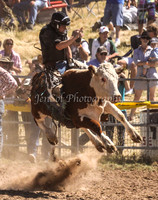 Taralga1_0642