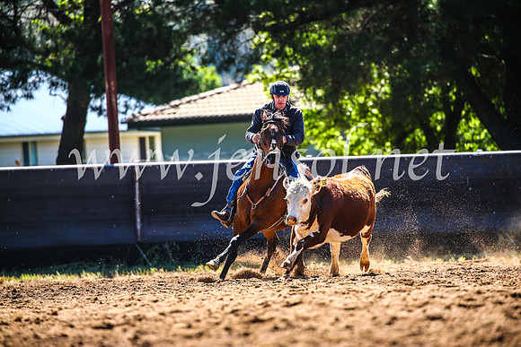 OrangeCampdraft2017_4402