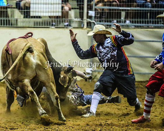 RealDealRodeoFeb2014_0942