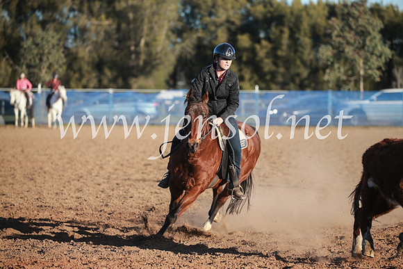 CCCampdraft2016_6779