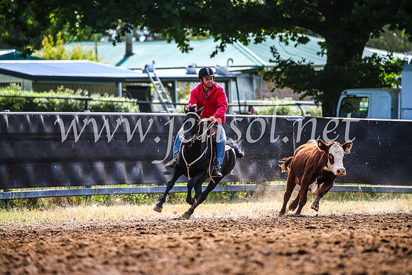 OrangeCampdraft2017_4061